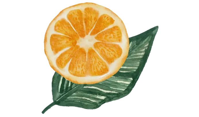 set-CARTAGENA-ORANGE
