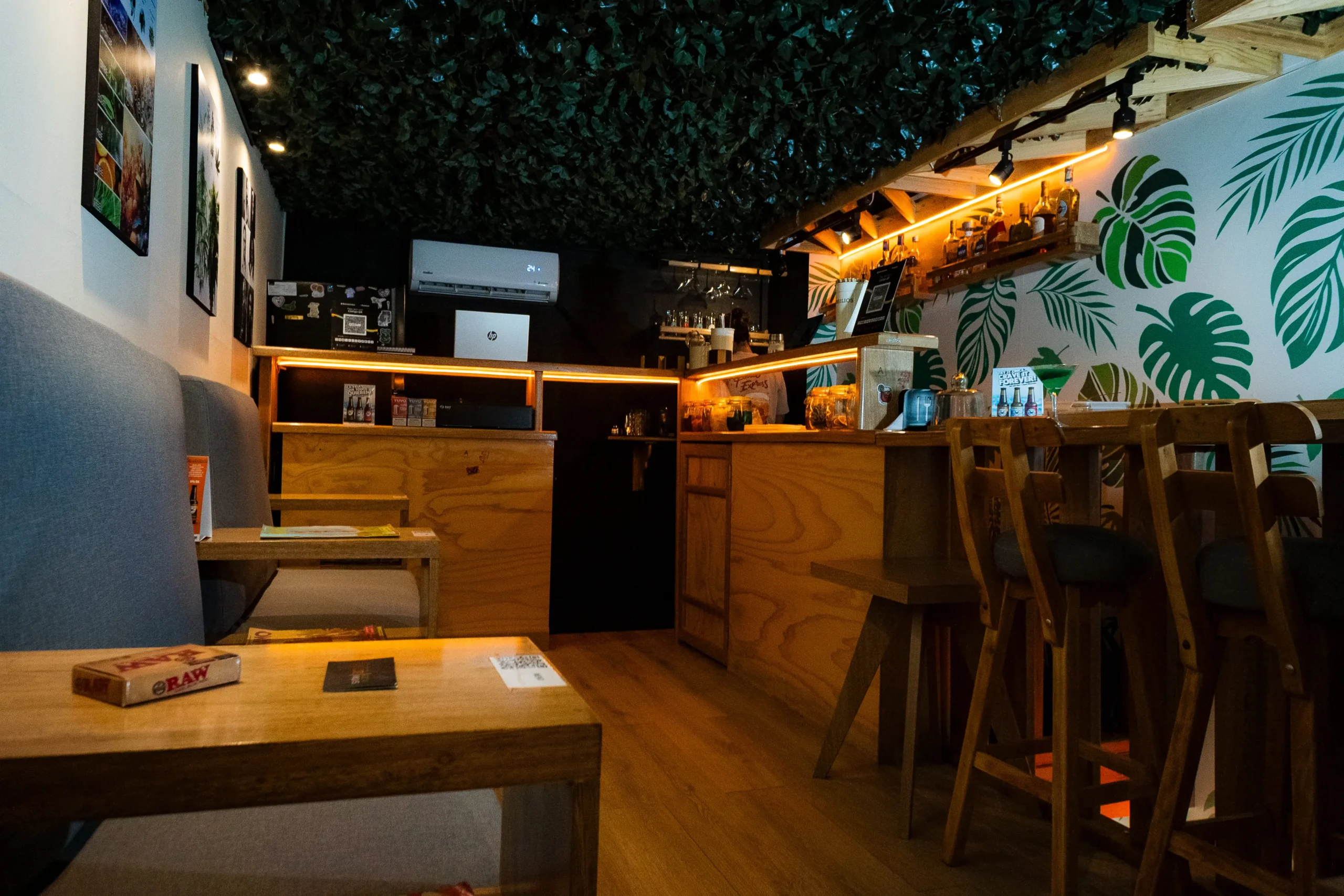 galeria (3)